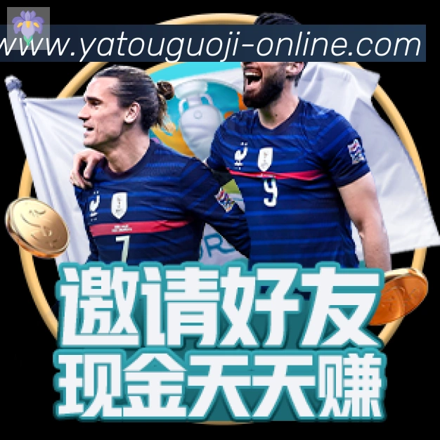 体育数据展示